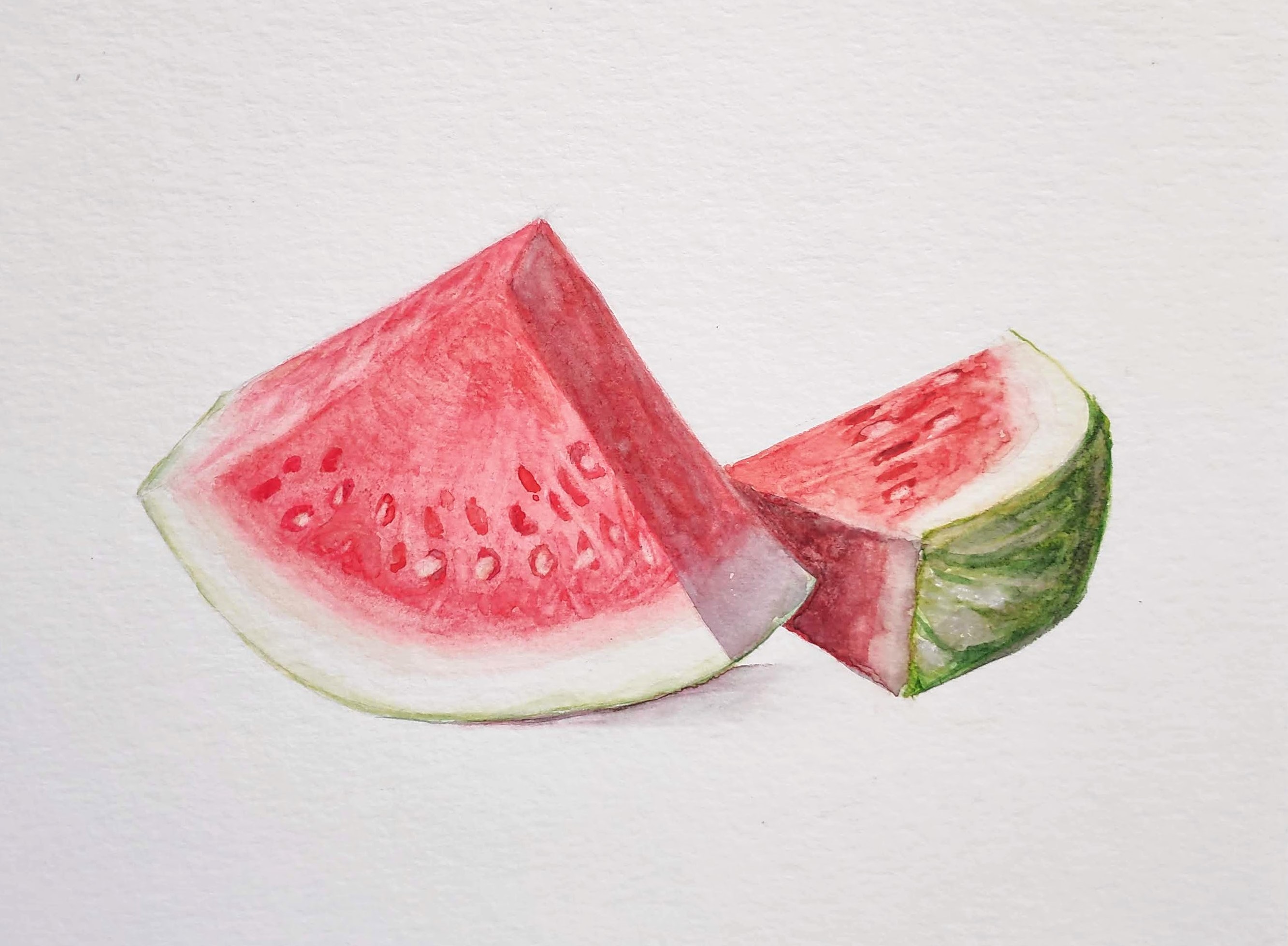 Oficina de Desenho de Observação em Aquarela